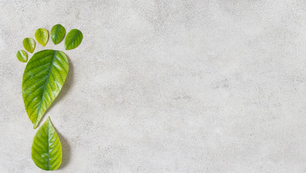 AB Sınırda Karbon Düzenleme Mekanizması (SDKM) – CBAM