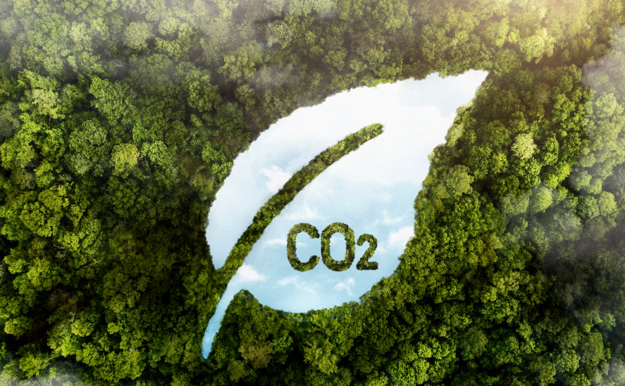 SKDM Danışmanlığı